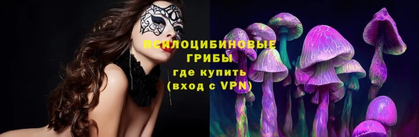 spice Балабаново