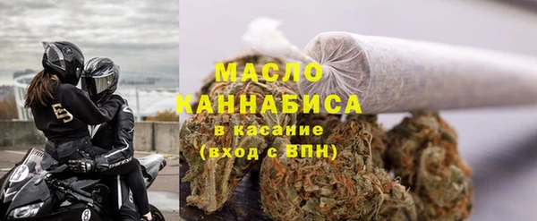 крисы Мегион