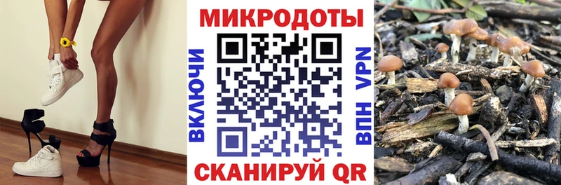 площадка состав  Ясный  Галлюциногенные грибы ЛСД 